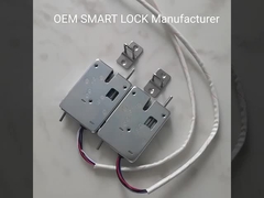 Palanca anti de la cerradura eléctrica del solenoide del OEM DC 24V para el armario compartido batería